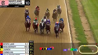 2024 MISS PREAKNESS STAKES REPLAY [upl. by Asilram]