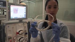 Setting up a Haemodialysis Machine Fresenius 5008 [upl. by Esinaej24]