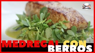 MEDREGAL CON BERROS RECETA DELICIOSA FÁCIL Y DIETÉTICA [upl. by Edrock]