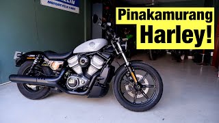 Harley Davidson Nightster  Full Review Sound Check and First Ride [upl. by Abey]