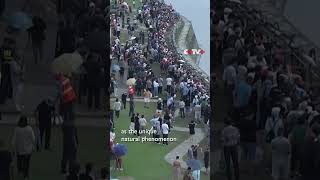 Spectacular tidal bore on Qiantang River wows visitors [upl. by Naji394]