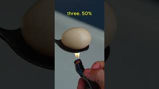 Which lighters have the highest heat rating1 experiment lighter shorts eggs video [upl. by Noni]