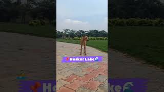 Huskur Lake  Places to visit places in Bengalore youtube youtubeshorts bengaluru touristplace [upl. by Ticknor]