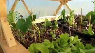 Aquaponics Build in Geodesic Dome Greenhouse [upl. by Hnirt697]