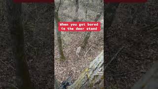 When you’re bored in the deer stand [upl. by Bevus]