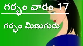 Pregnancy  Telugu  Week 17  గర్భం  వారం 17 [upl. by Wenona]