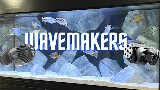 Why You Need Wavemakers in Cichlid Tanks [upl. by Adelheid]