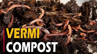 How to Make Vermicompost  How To make Vermicompost at Home From Kitchen Waste [upl. by Yllen695]