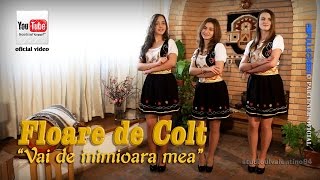 FLOARE de COLT  Vai de inimioara mea oficial video [upl. by Holmann]