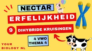 4 vwo  Erfelijkheid  9  Dihybride kruisingen [upl. by Enelyaj350]