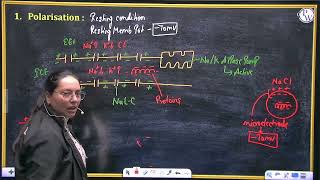 Generation and conduction of Nerve Impulse [upl. by Robenia]