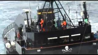 Sea Shepherds Steve Irwin rams harpoonship Yushin Maru 2 [upl. by Yorker]