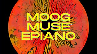 Moog Muse  Keys Full track with Sequential OB6 and Moog Matriarch [upl. by Hubble219]