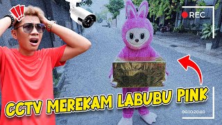 DIKIRA BOHONGAN CCTV MEREKAM JELAS LABUBU PINK MEMBAWA PAKET MISTERIUS KE RUMAH KITA [upl. by Vernier]