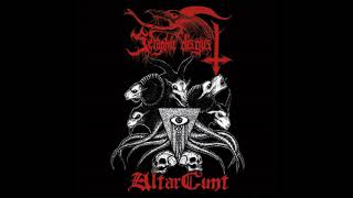 Seraphic Disgust  Altarcunt Full Album [upl. by Intosh]