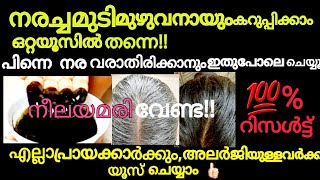 Natural Hair Dye നരച്ചമുടിഒറ്റ യൂസിൽതന്നെകറുപ്പാകുംhome remedy for grayhairkrishnascookingworld [upl. by Meuse]