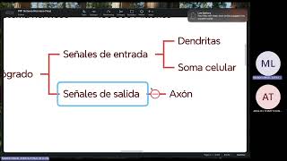 FISIOLOGIA FISIOPATOLOGIA FASE 2 TEORIA 01 01 [upl. by Ofelia]