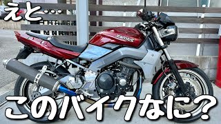 【ザンザス】ZXR400の心臓を持つバカっ速ネイキッド [upl. by Aremaj968]