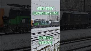 VECTRON quotLORELEYquot 193 738 LTE LOGISTICS ROK TEMU W PODSYLE NA BROCHOWIE [upl. by Siravart]