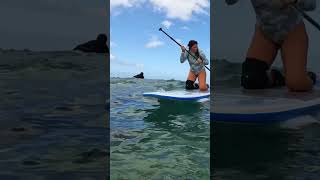 Learning to SUP surf in Honolulu with Ohana Surf Project oahu surf supsurfing hawaii [upl. by Aizek240]