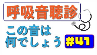 【41日目】毎日1分！こっそり呼吸音の聴診ができるようになりませんか？ [upl. by Naibaf]