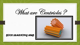 What are centrioles Biology [upl. by Dale]