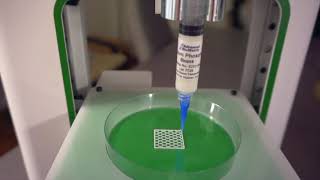 Bioprinting of Bone Scaffold [upl. by Laith]