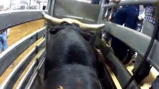 Mariano Castros Bull Ride GoPro  Chickasha Rodeo June 2014 [upl. by Zendah259]