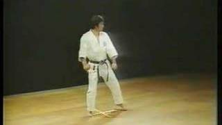 Heian Nidan  Shotokan Karate [upl. by Akinod244]