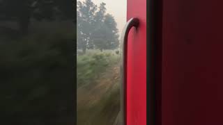 Suhaildev sf express flying  train morning viralvideo asmr [upl. by Nosreme595]