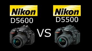 Nikon D5600 vs Nikon D5500 en Español  VS Digital [upl. by Harihs175]