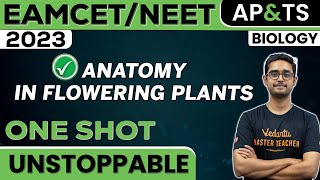 Anatomy In Flowering Plants In One Shot  Biology  NEET 2023  EAMCET  Ajay Sir [upl. by Naicul]