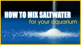 How to Mix Saltwater for Your Aquarium A Step by Step Tutorial [upl. by Burrton]