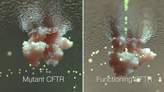 Cystic Fibrosis Mechanism and Treatment  HHMI BioInteractive Video [upl. by Voe]