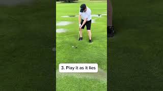 SATISFYING 🤤 golf golfswing [upl. by Aonehc]