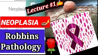 neoplasiapathology Lecture1 neoplasia pathology robbins neoplasia pathology lecture pathology [upl. by Halfon]