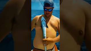 This Fish Can Stick to Anything  😱 remora [upl. by Fiester]