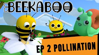 Pollination for Kids – BeeKaBoo Kids Songs amp Nursery Rhyme [upl. by Nnylesor]