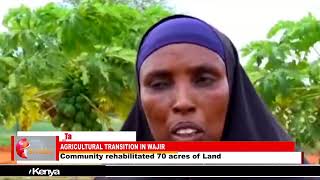 AGRICULTURAL TRANSITION IN WAJIR Communities adopt mixed farming to save their livestock [upl. by Rouvin]