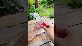 Techniques planting bottle plastic grow flowers so beautiful garden flowers plants flower diy [upl. by Boyd]