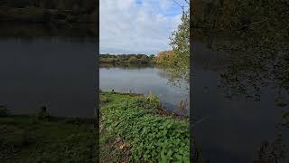 Broome pits fishing carps carpfish fish carpfishing lake carpworld angling anglinglife [upl. by Maisey]