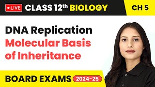 DNA Replication  Molecular Basis of Inheritance  Class 12 Biology Chapter 5  live [upl. by Robin]