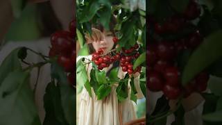 Cery🍒🍒🍒 shorts fruit satisfying [upl. by Dillon388]