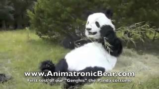 quotGenghis the Pandaquot  Realistic costume hire for Films  TV [upl. by Pozzy695]