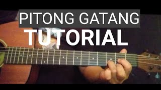 PITONG GATANG GUITAR CHORDS TUTORIAL AND LYRICS PITONGGATANG FREDPANOPIO [upl. by Zena]