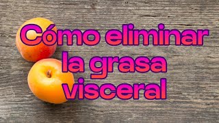 Cómo eliminar la grasa visceral [upl. by Hsirrehc]