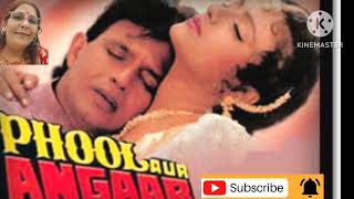 Hum Teri Mohabbat Main l Phool Aur Angaar1993 l Sadhna Sargam Kumar Sanu l Anu Malik [upl. by Granese]