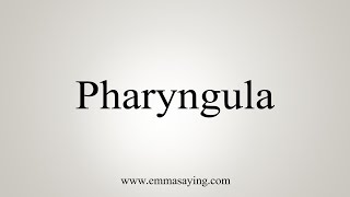 How To Say Pharyngula [upl. by Hansel]