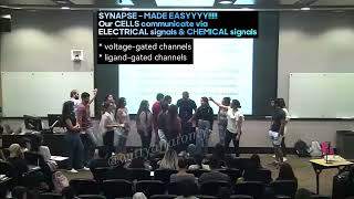 Synapse quotHuman Magnifiedquot Sooo Easyyyy Voltage and Ligandgated channels explained [upl. by Anaitat]