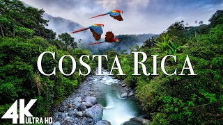 Costa Rica Rainforest 4k  Happiest Country On Earth With Exotic Wildlife  Scenic Relaxation Film [upl. by Yuh718]